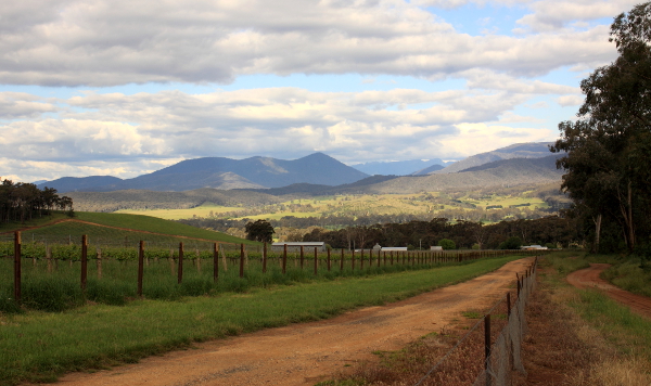 king-valley