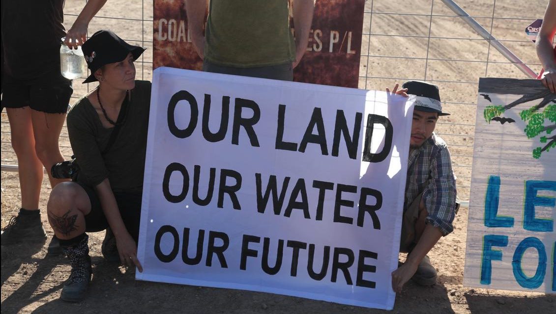 Can Leard Forest be saved? @georgefwoods reports on #leardblockade