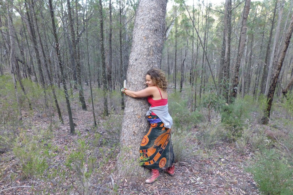 Every tree in the Pilliga is sacred - Iris Ray Nunn at the Pilliga Forest protest camp in October last year