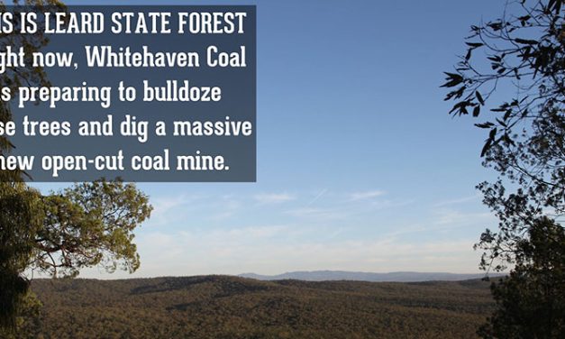 One #leardblockade rule for Whitehaven, another for Jono Moylan: @larissawaters decries double standards