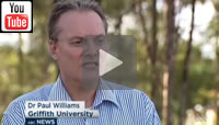 ABC News Qld: Dr Paul Williams from Griffith University predict a Labor win and a swing of 10 per cent.