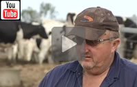 ABC News Qld: Struggling dairy farmers seeking opportunities to export milk to Asia.