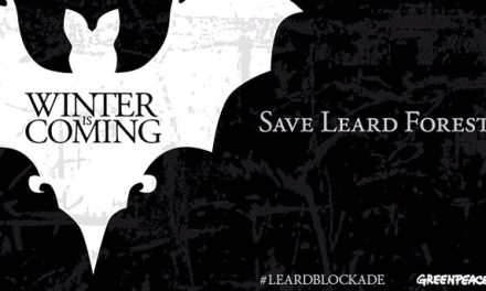 Winter has come for Leard State Forest and her wildlife: my #leardblockade Twitter report