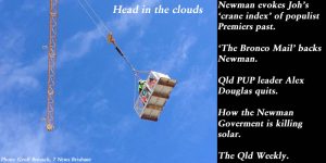 Head in the clouds. Campbell Newman mounts a crane to count cranes.