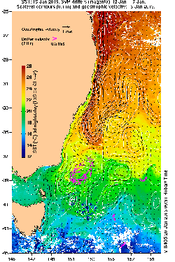 East Australian current 