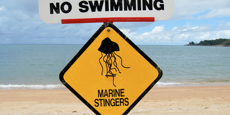 Marine Stingers sign by Zhu/Flickr (CC BY-NC 2.0)