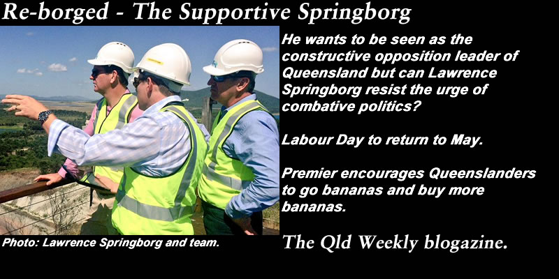Re-borged – The Supportive Springborg – The #QldWeekly blogazine: #qldpol @Qldaah