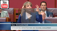 A very animated Michaelia Cash answers questions from The Greens on the WestConnex project in 2015.