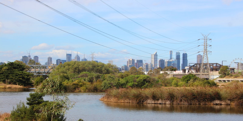 Melbourne skyline from Footscray wetlands. Photo: John Englart