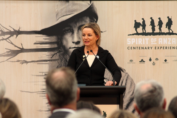 Sussan Ley from the electorate of Farrer addresses people gathered at the Spirit of Anzac exhibiton opening in Wodonga, Cathy McGowan's electorate of Indi. Photo: Wayne Jansson