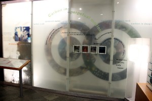 The Carbon cycle exhibit