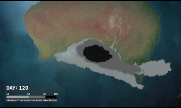 BP has no right to risk the Bight’s #environment: @Wilderness_Aus comments