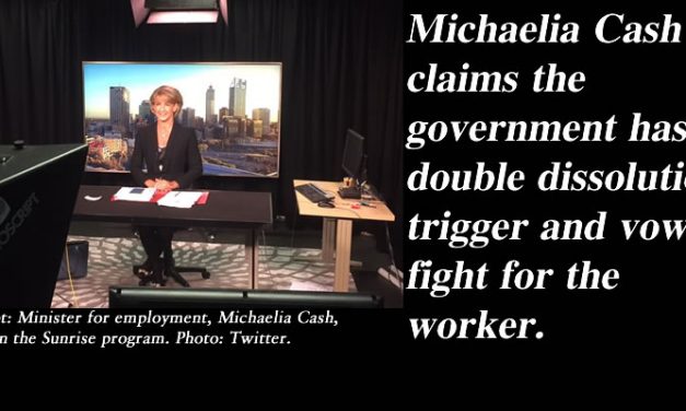 ‘We will fight for the worker’ – Michaelia Cash threatens double dissolution: @Qldaah #ausvotes #qldpol #auspol