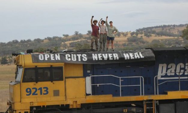 Coal train delayed for 6 hours due to #leardblockade civil-disobedience reports @takvera