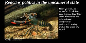 Redclaw politics in the unicameral state.