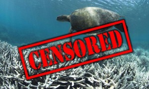 20160527-reef-censored-reefgate