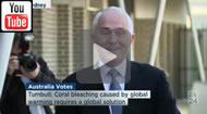 ABC News 24: Malcolm Turnbull asked why Fiona Scott is standing back from the microphones.