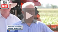 ABC News 24: Turnbull Govt's promise of Rookwood Weir at Rockhampton hasn't passed a feasibility study.