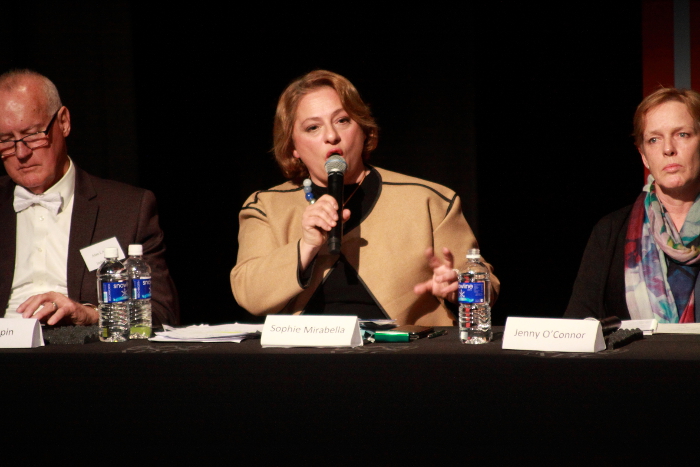Liberal Party candidate for Indi, Sophie Mirabella. Photo: @Jansant