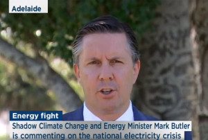 Mark Butler: calls for end of renewables  blame game and manage energy and climate policy in bipartisan way