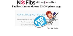 Pauline Hanson takes down PHON plane page