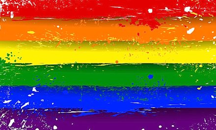 #VoteYes in the #MarriageEquality survey, just don’t expect a unifying moment: @burgewords comments