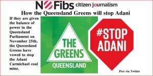 How the Queensland Greens will stop Adani