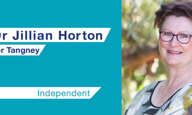 Jill Horton calls for ‘lean, mean’ politics to end: @CharliCaruso #TangneyVotes #podcast