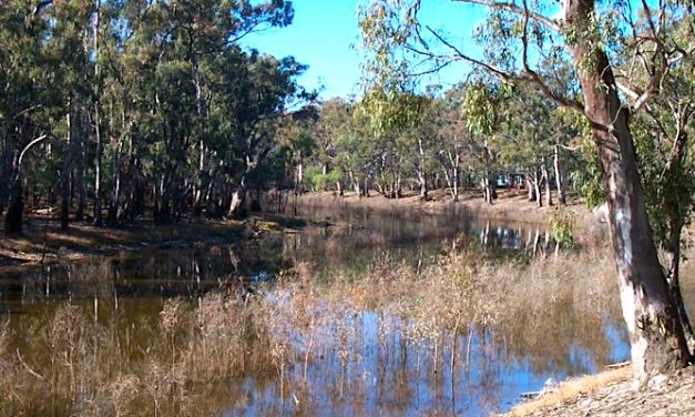 Feds failing to act on river reports: @kateauty #StopPrayingForRain #ClimateAction analysis