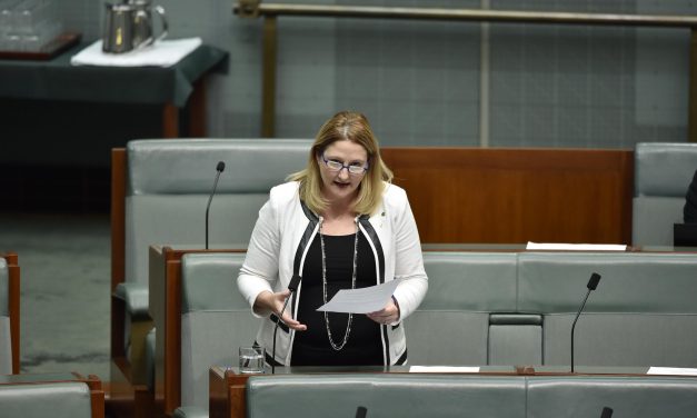 Rebekha Sharkie says get engaged and enraged for #Ausvotes: @MakeMayoMatter #ViewFromTheCrossbench