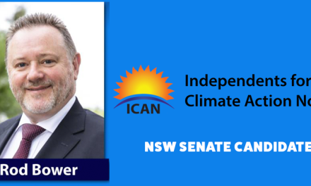 Dark clouds and silver linings, the ICAN #ClimateAction vision: @adropex reports #ActiveDemocracy