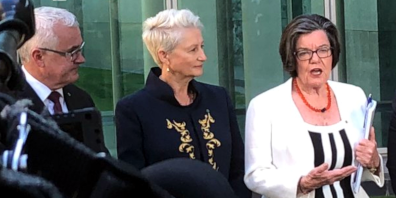 How the pop-up @DrKerrynPhelps campaign for Wentworth came together: a @margokingston1 dinner party debrief