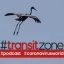TransitZone